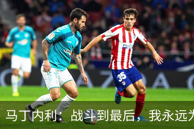 马丁内利：战斗到最后，我永远为阿森纳队徽而战