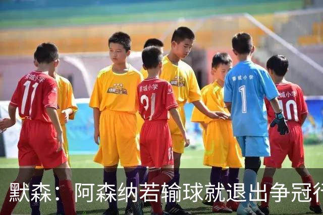 默森：阿森纳若输球就退出争冠行列 本场极其重要